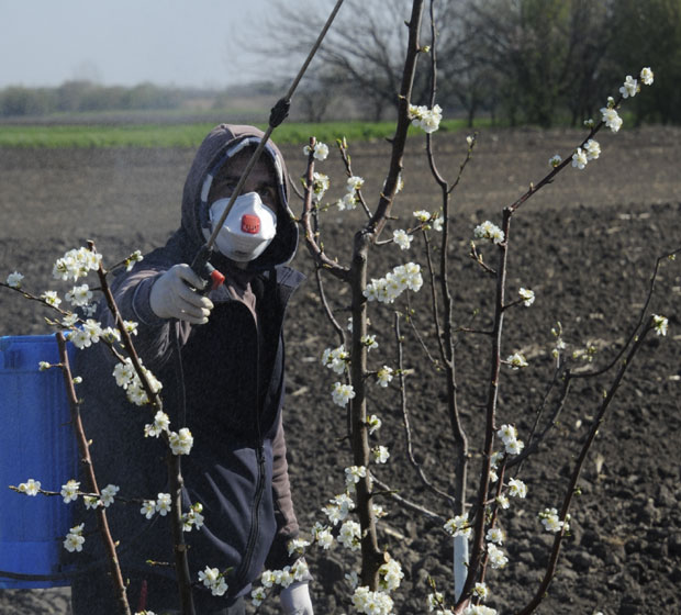 „Сад сејемо, у небо ћемо после гледати“: У Банатском Брестовцу са пољопривредницима 